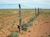 'Rabbit proof fence" Plus de 5000kms de long !!