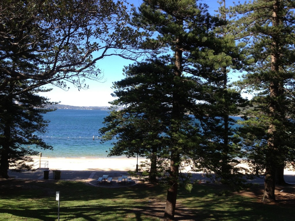 Vue depuis le salon qui donne directement sur la plage avec le filet anti-requins!